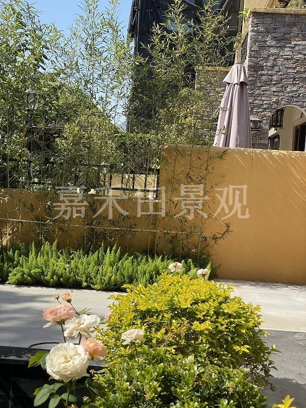 別墅花園的養(yǎng)護(hù)技巧包括哪些方面？
